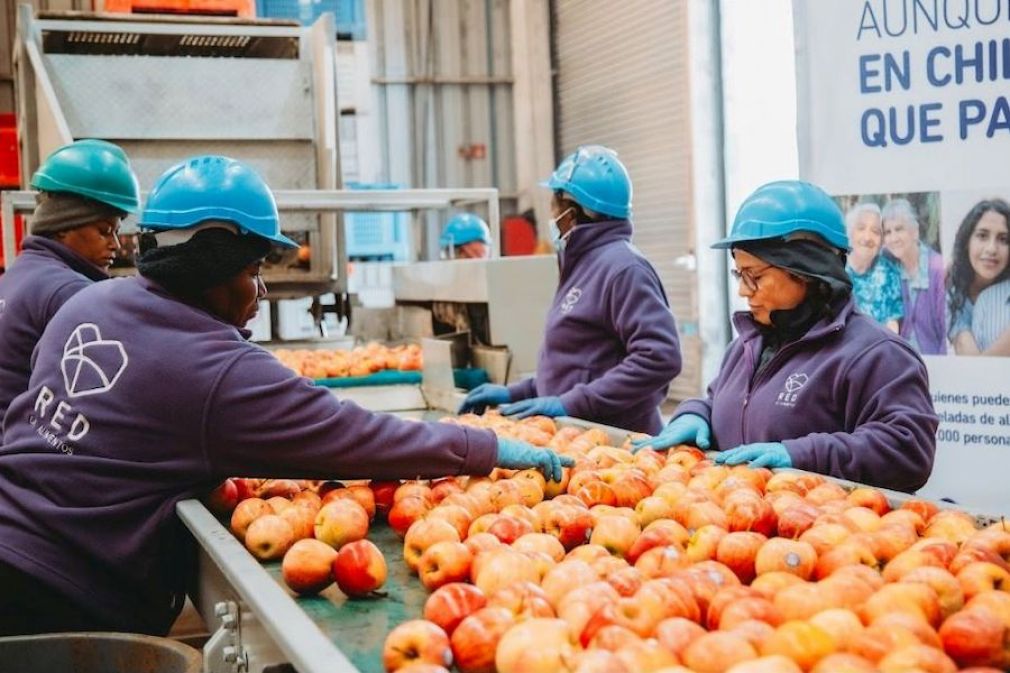 Los 15 años de Red de Alimentos rescatando productos