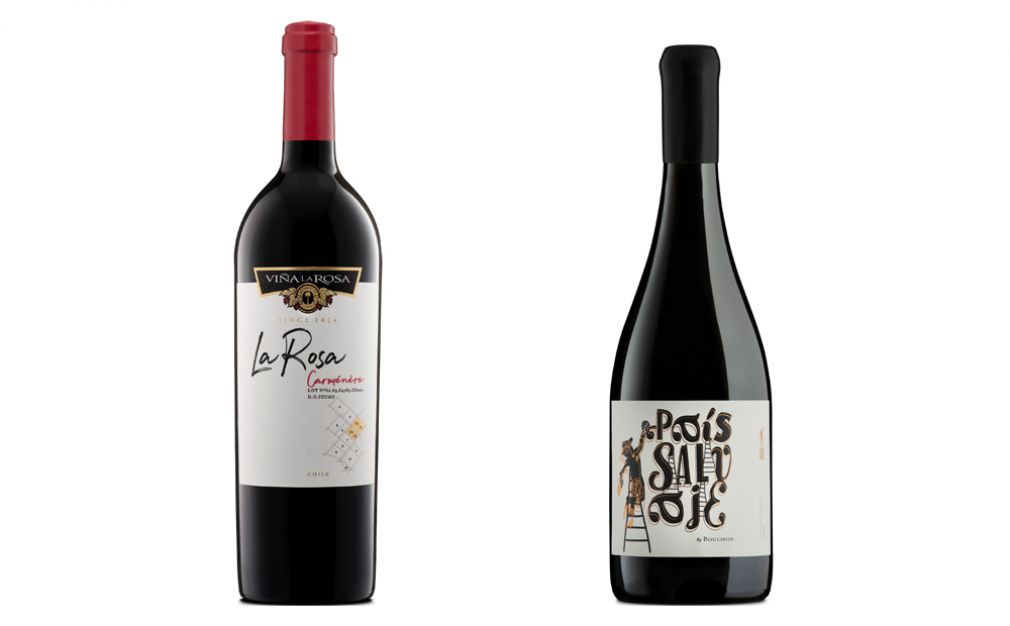 Vinos chilenos reciben reconocimientos diversos