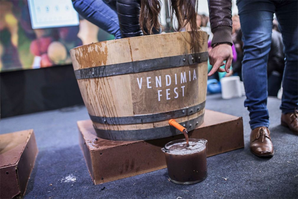 Vendimia Fest 2024: La gran fiesta del vino en Providencia