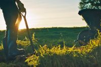 Campa&ntilde;a de Nestl&eacute; sobre su tr&aacute;nsito a una agricultura regenerativa