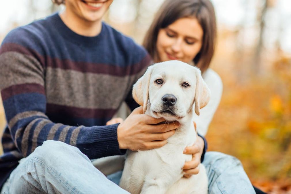 Cuando las mascotas son consideradas miembros de la familia
