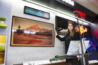 Servicio de asesor&iacute;a online para la compra un televisor