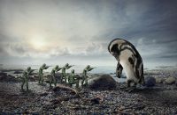 Alternativa a las fuerzas destructivas del planeta