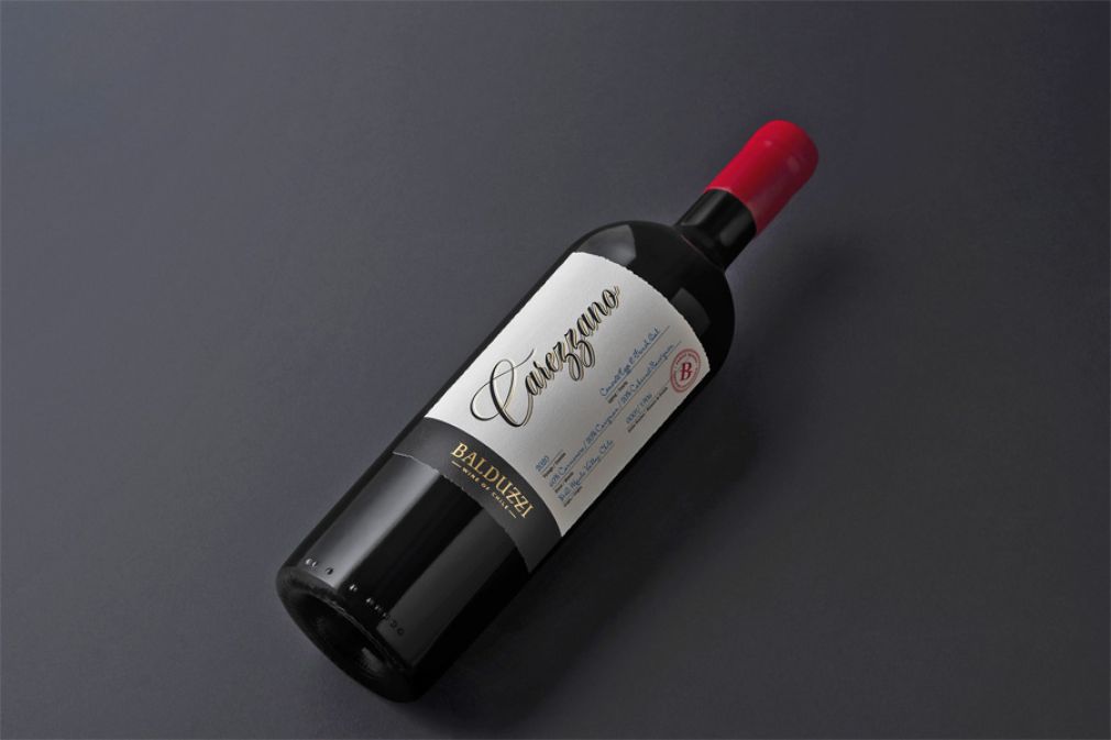 La tradición familiar presente en el vino ícono de Viña Balduzzi