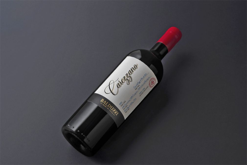 La tradici&oacute;n familiar presente en el vino &iacute;cono de Vi&ntilde;a Balduzzi