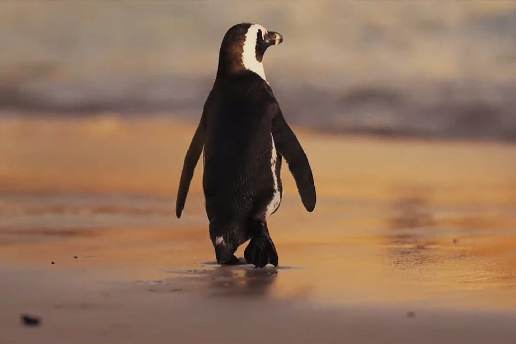 Penguin Random House elimina el plástico de los libros