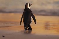 Penguin Random House elimina el pl&aacute;stico de los libros