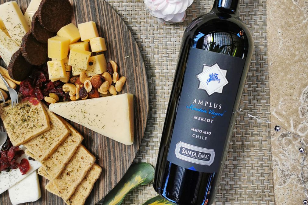 El posicionamiento de Vi&ntilde;a Santa Ema en torno al merlot