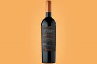 Nuevo vino y cambio de imagen de Castillo de Molina