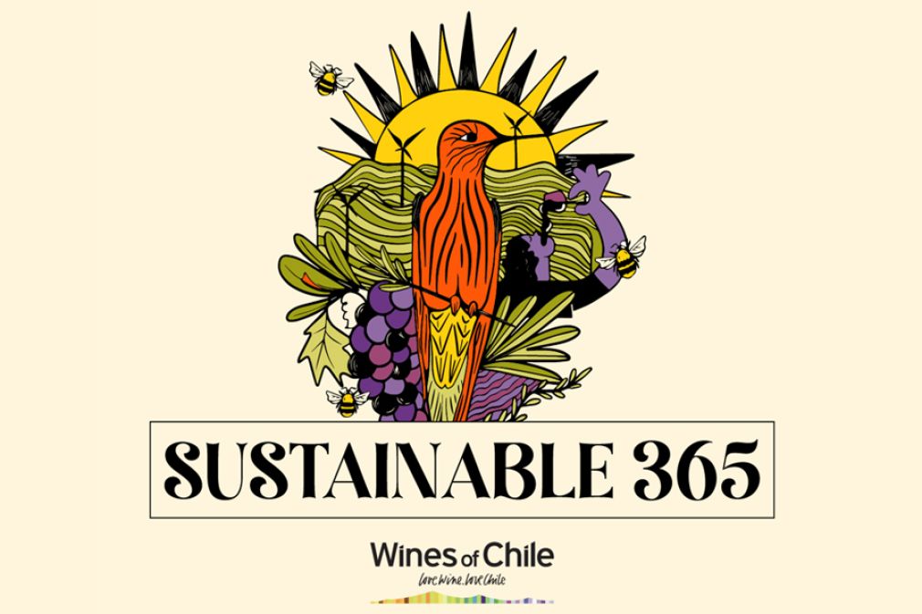 Evento de Wines of Chile en Miami en torno a la sustentabilidad