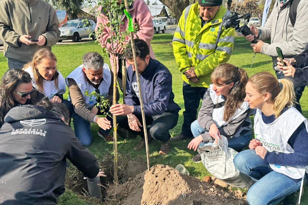 Marcas que se movilizan por la reforestaci&oacute;n en Chile