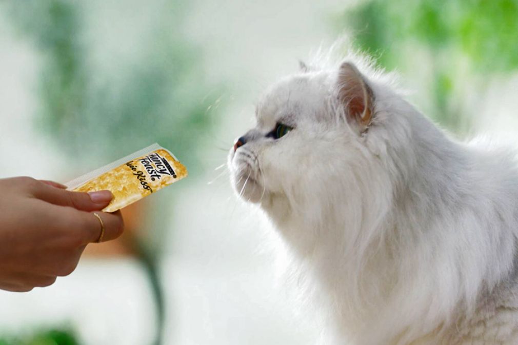 Nuevo snack para gatos de Purina Fancy Feast