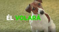 Sky y Grey proponen una conjugaci&oacute;n del verbo volar