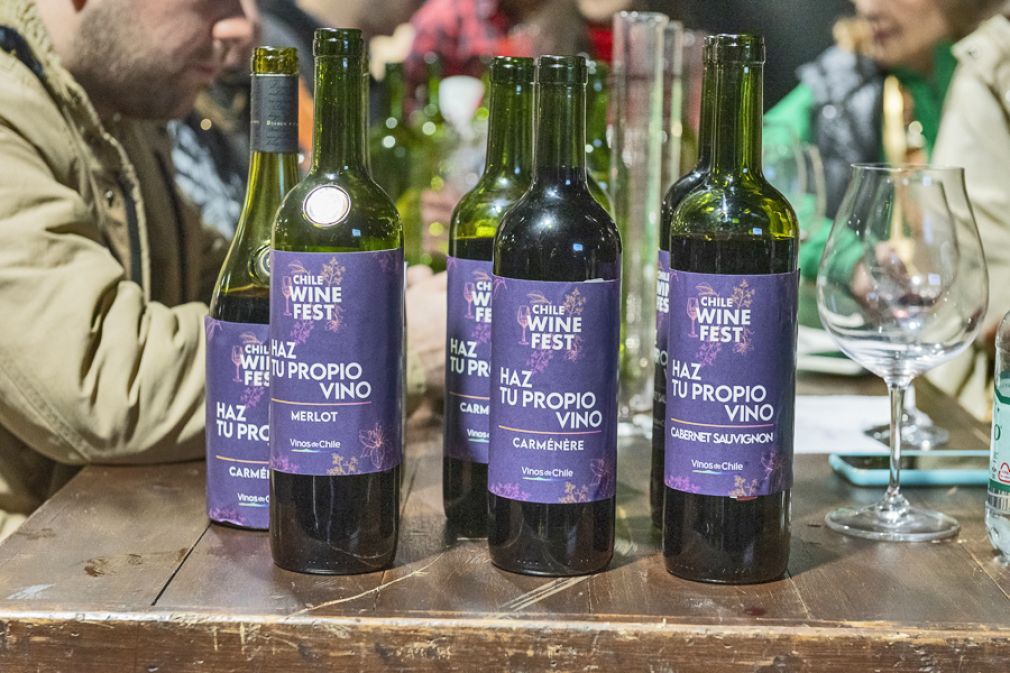 Chile Wine Fest, la mayor fiesta de vinos premium